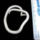 The smooth, white coiled body of a tapeworm (Ascaris lumbricoids) lies next to a ruler showing the animal's relative size.